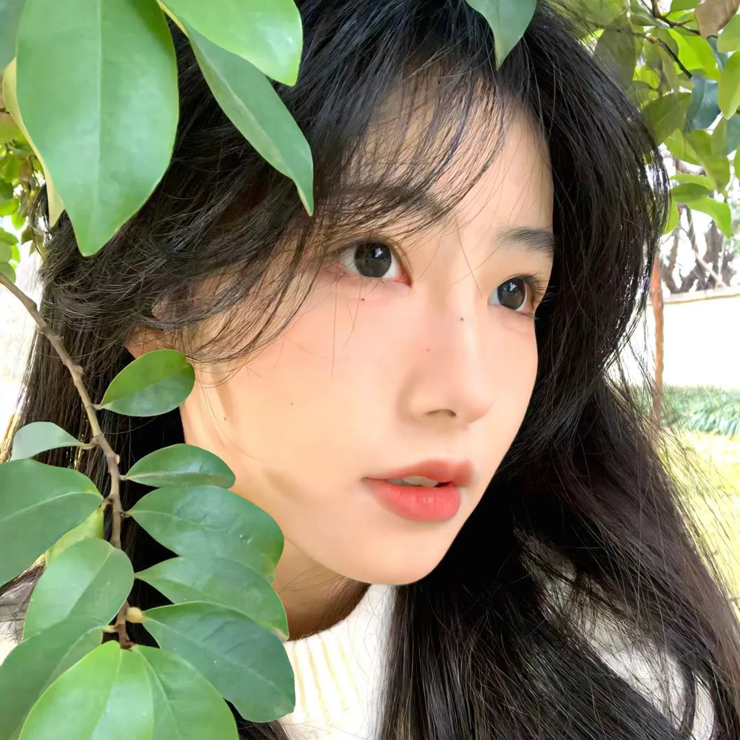 后视镜